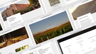 Sitio web institucional