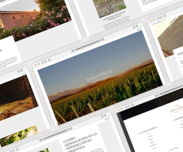 Sitio web institucional