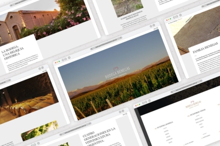 Sitio web institucional