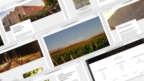 Sitio web institucional