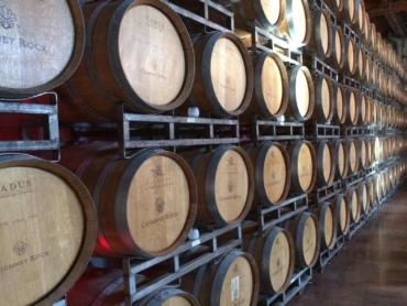 Creación de Comunidad_ Estrategias de Social Media para Bodegas de Vino