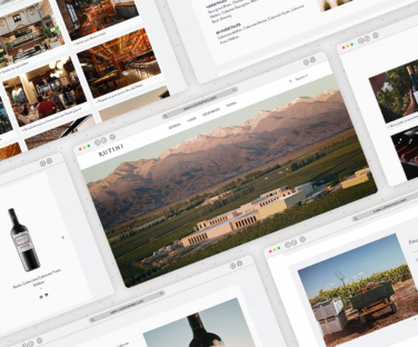 Sitio web institucional